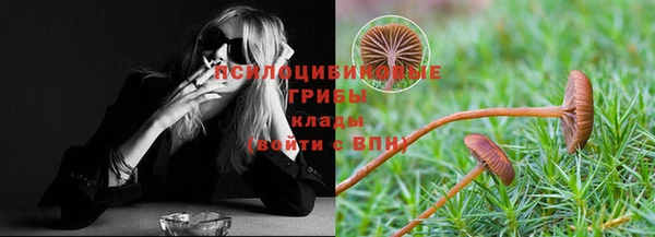 ГАЛЛЮЦИНОГЕННЫЕ ГРИБЫ Белокуриха