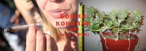 соль курить ск Богородск