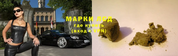 ГАЛЛЮЦИНОГЕННЫЕ ГРИБЫ Белокуриха
