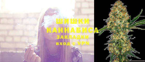 бошки Богданович