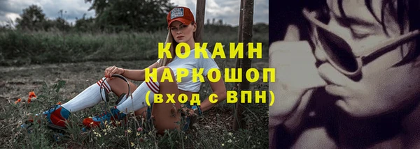 бошки Богданович