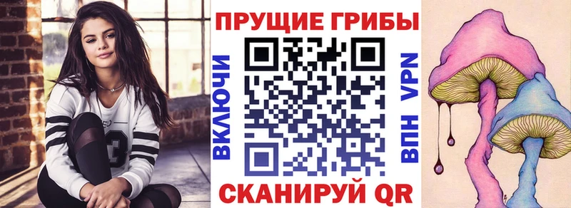 Галлюциногенные грибы Psilocybine cubensis  Болхов 